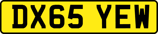 DX65YEW