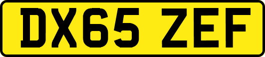 DX65ZEF