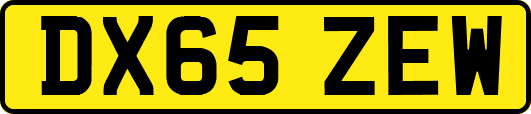 DX65ZEW