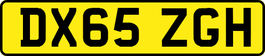 DX65ZGH