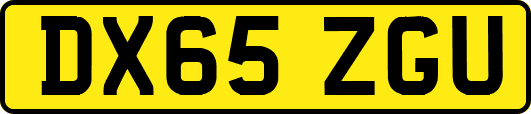 DX65ZGU