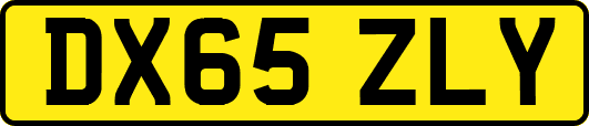 DX65ZLY