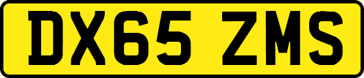 DX65ZMS