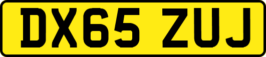 DX65ZUJ
