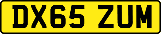 DX65ZUM