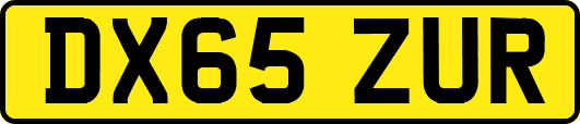 DX65ZUR