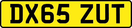 DX65ZUT