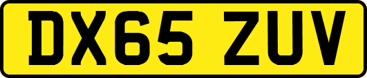 DX65ZUV