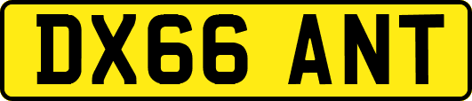 DX66ANT