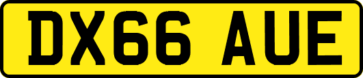 DX66AUE