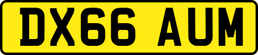 DX66AUM