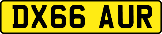 DX66AUR