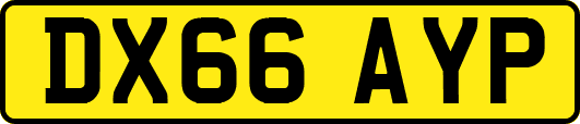 DX66AYP