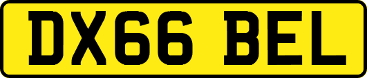 DX66BEL
