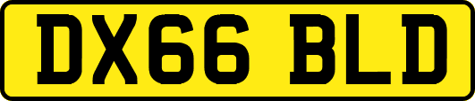 DX66BLD