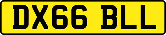 DX66BLL