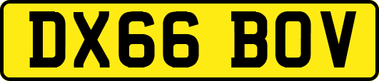 DX66BOV