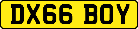 DX66BOY