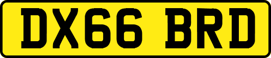 DX66BRD