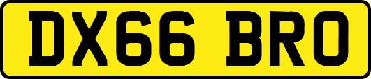 DX66BRO