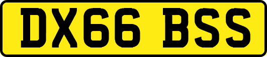 DX66BSS