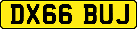 DX66BUJ