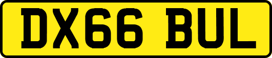 DX66BUL