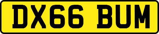 DX66BUM