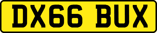 DX66BUX
