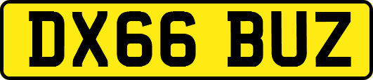 DX66BUZ