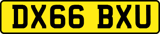 DX66BXU