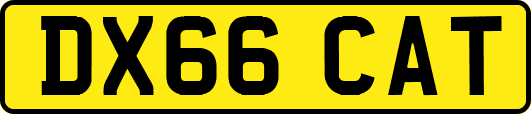 DX66CAT