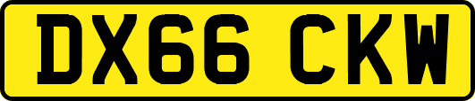 DX66CKW