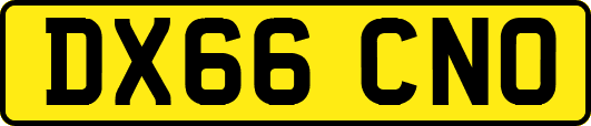 DX66CNO