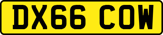 DX66COW
