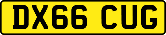 DX66CUG