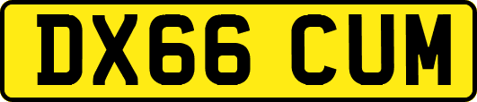 DX66CUM