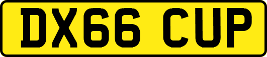 DX66CUP