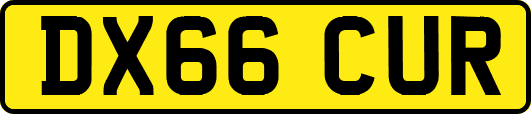 DX66CUR