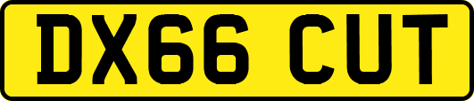 DX66CUT