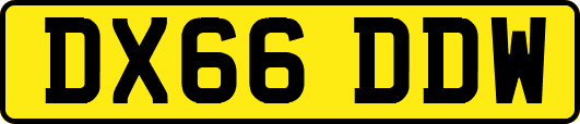 DX66DDW