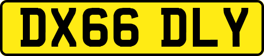 DX66DLY