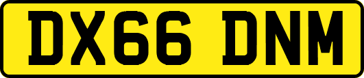 DX66DNM