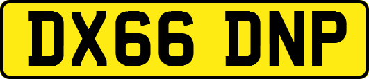 DX66DNP