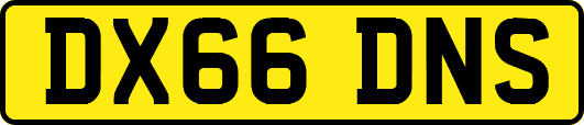 DX66DNS