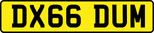DX66DUM