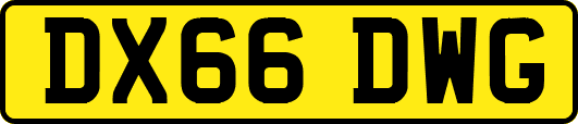 DX66DWG