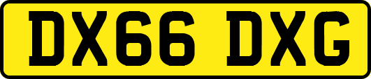 DX66DXG