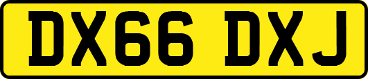 DX66DXJ