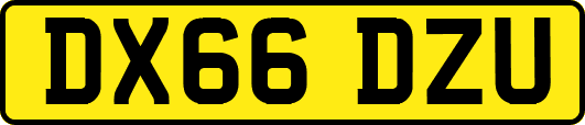 DX66DZU